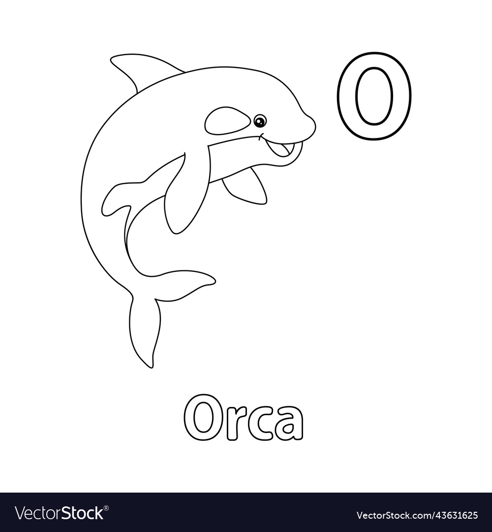 Orca alphabet abc coloring page o royalty free vector image