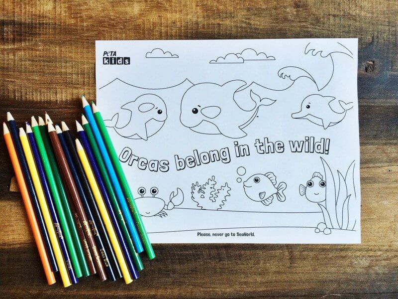 Free orcas belong in the wild activity sheets peta kids