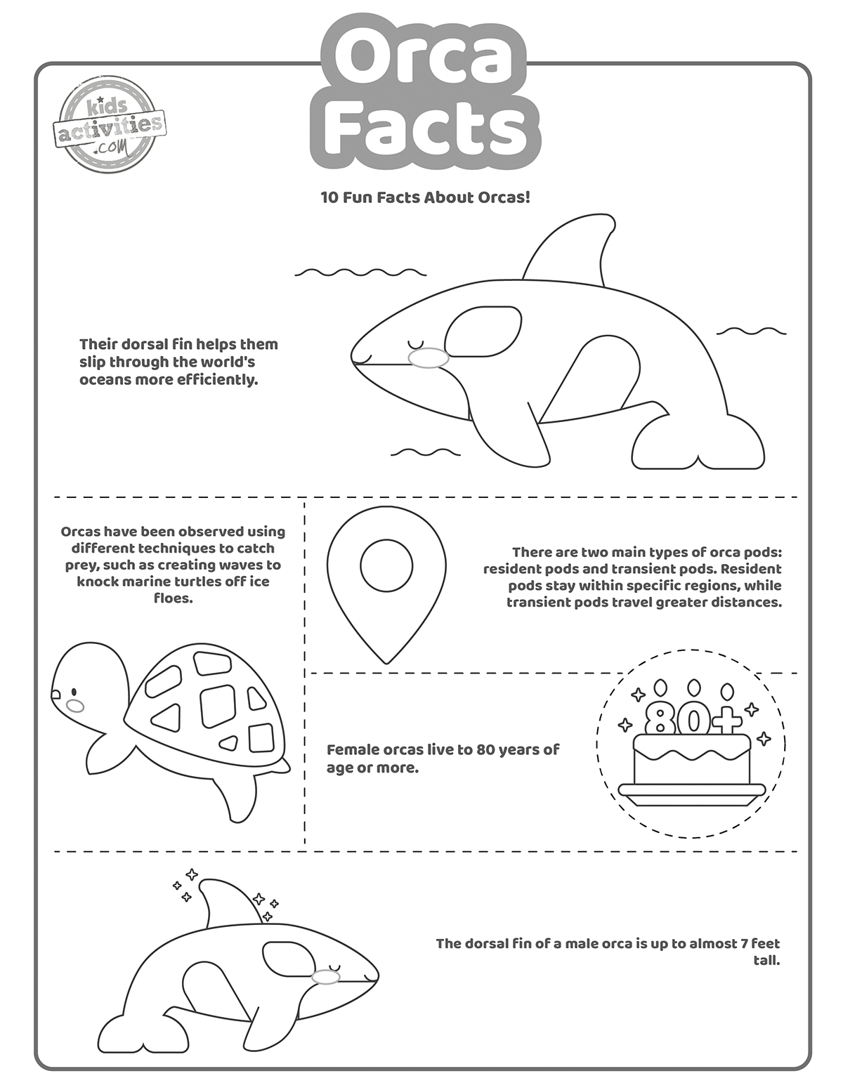 Cool orca facts kids activities blog