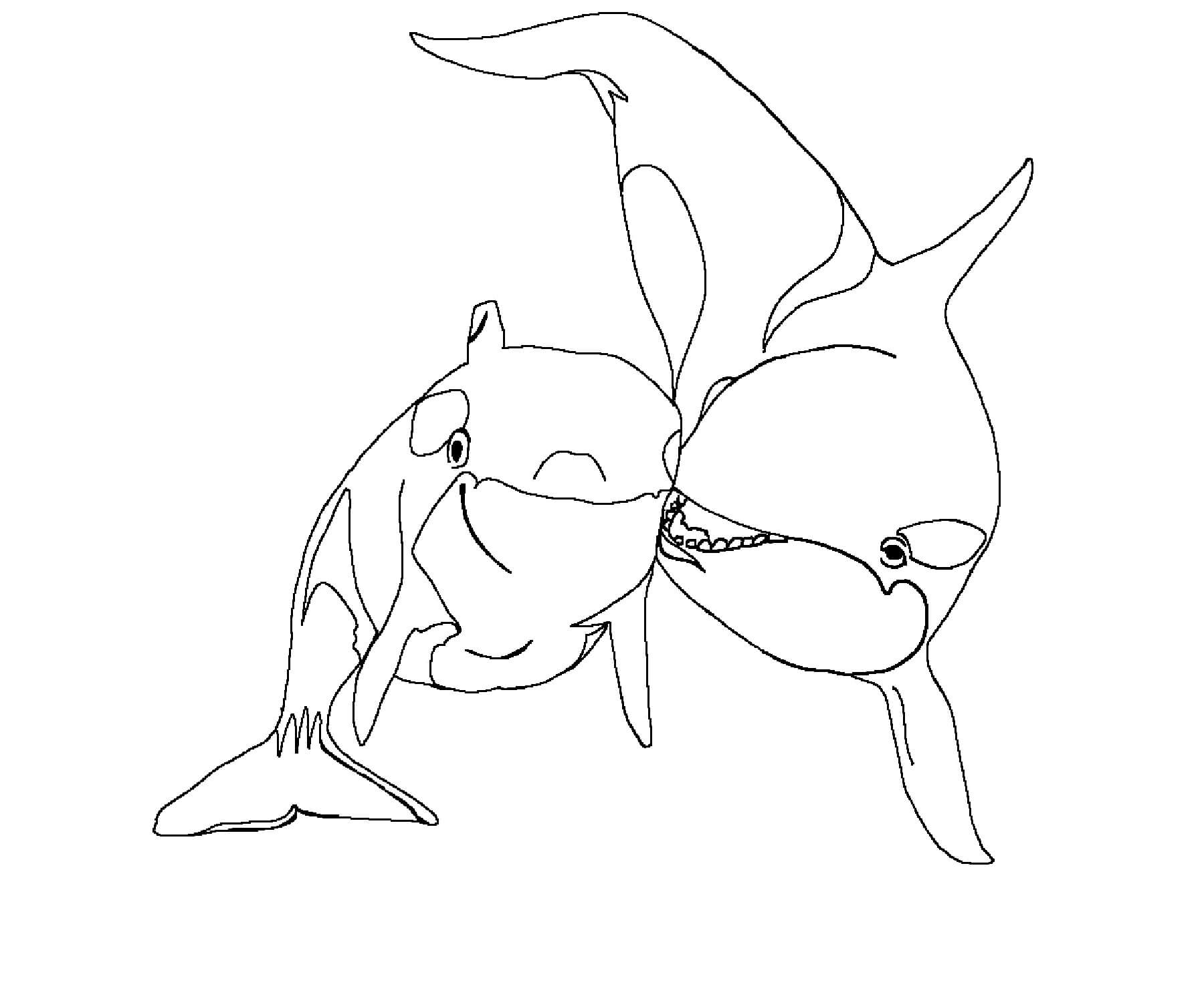 Whales coloring pages
