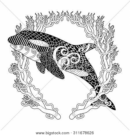 Killer whale high vector photo free trial bigstock