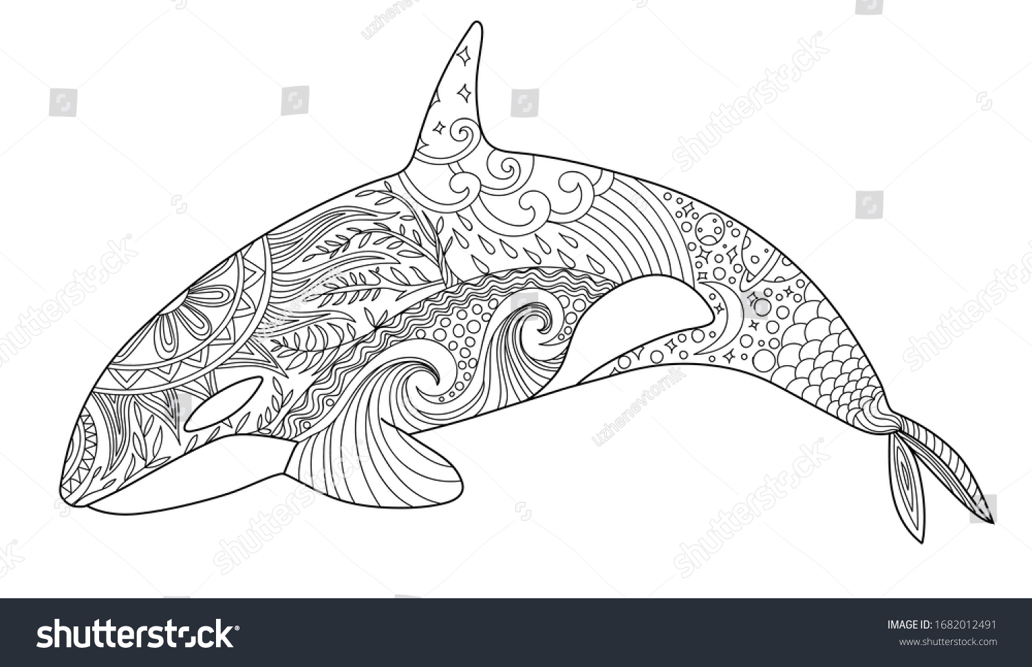 Whale coloring page adult antistress coloring stock vector royalty free