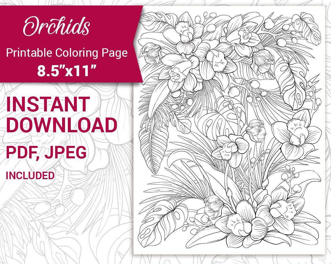 Pdf jpeg printable adult coloring page botanical printable coloring page tropical orchids hawaii summer flowers and leaves coloring