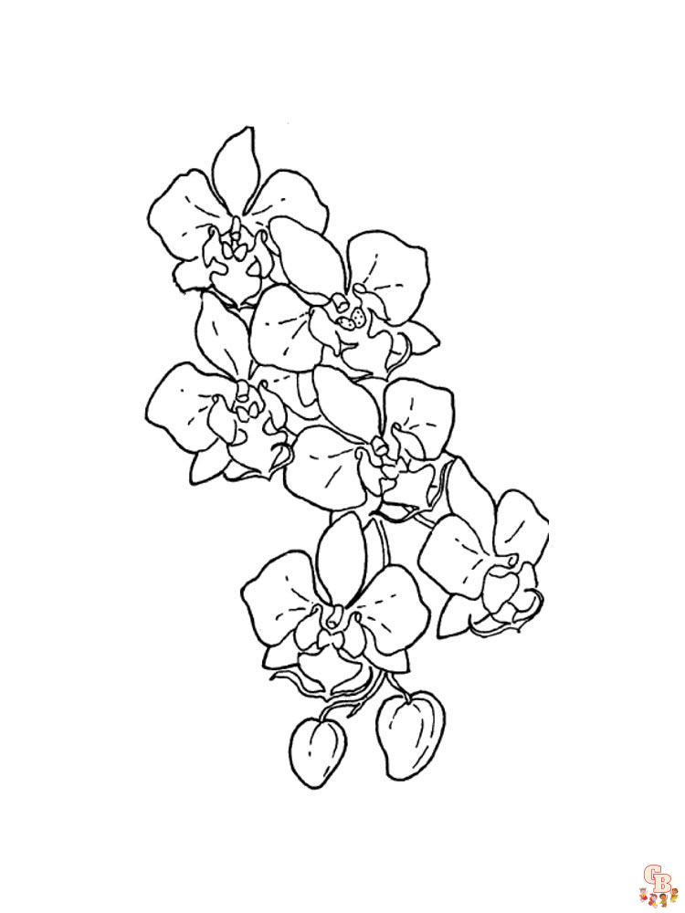 Explore the world of orchids with free printable coloring pages