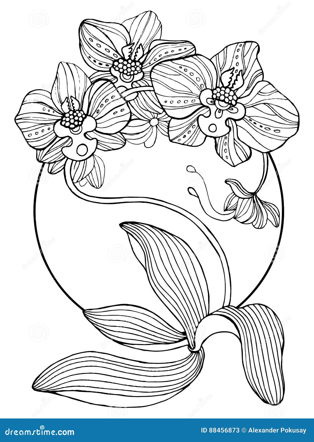 Orchid flowers coloring book vector illustration stock vector