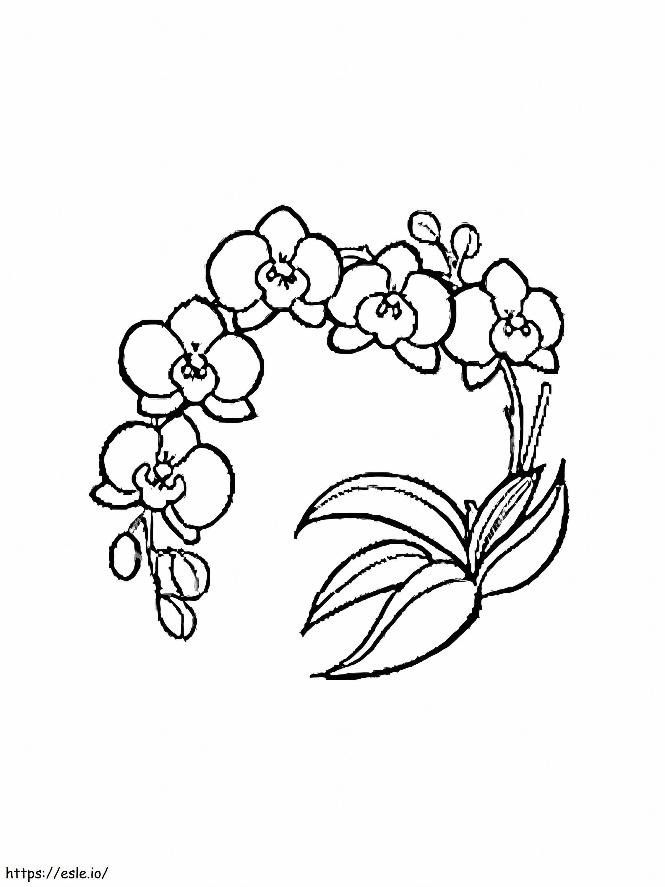 Free printable orchid flower coloring page