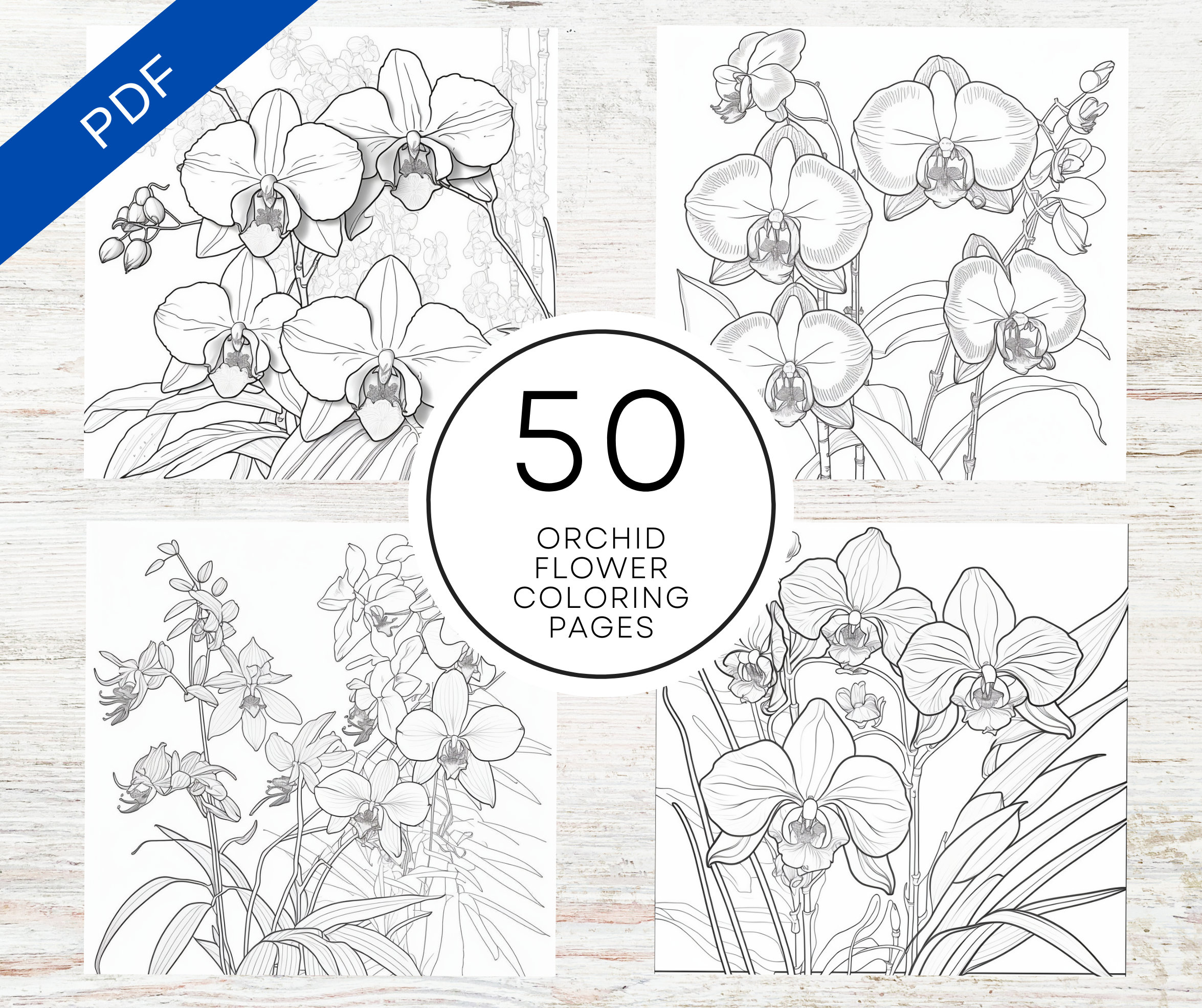 Kdp interior orchid flower coloring pages for adults x pdf mercial use floral coloring sheets
