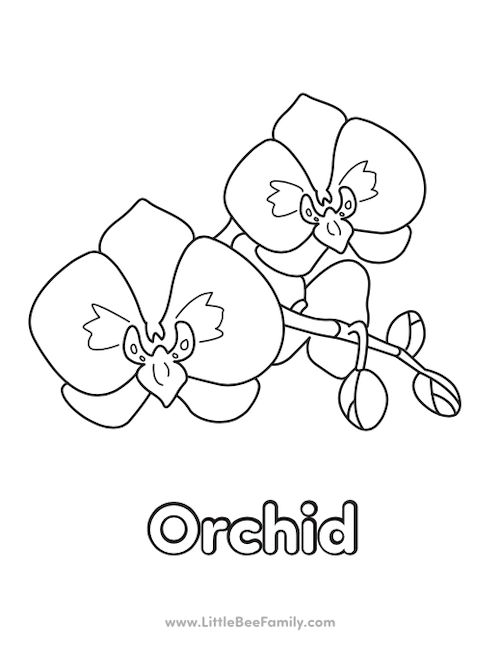 Flower coloring pages