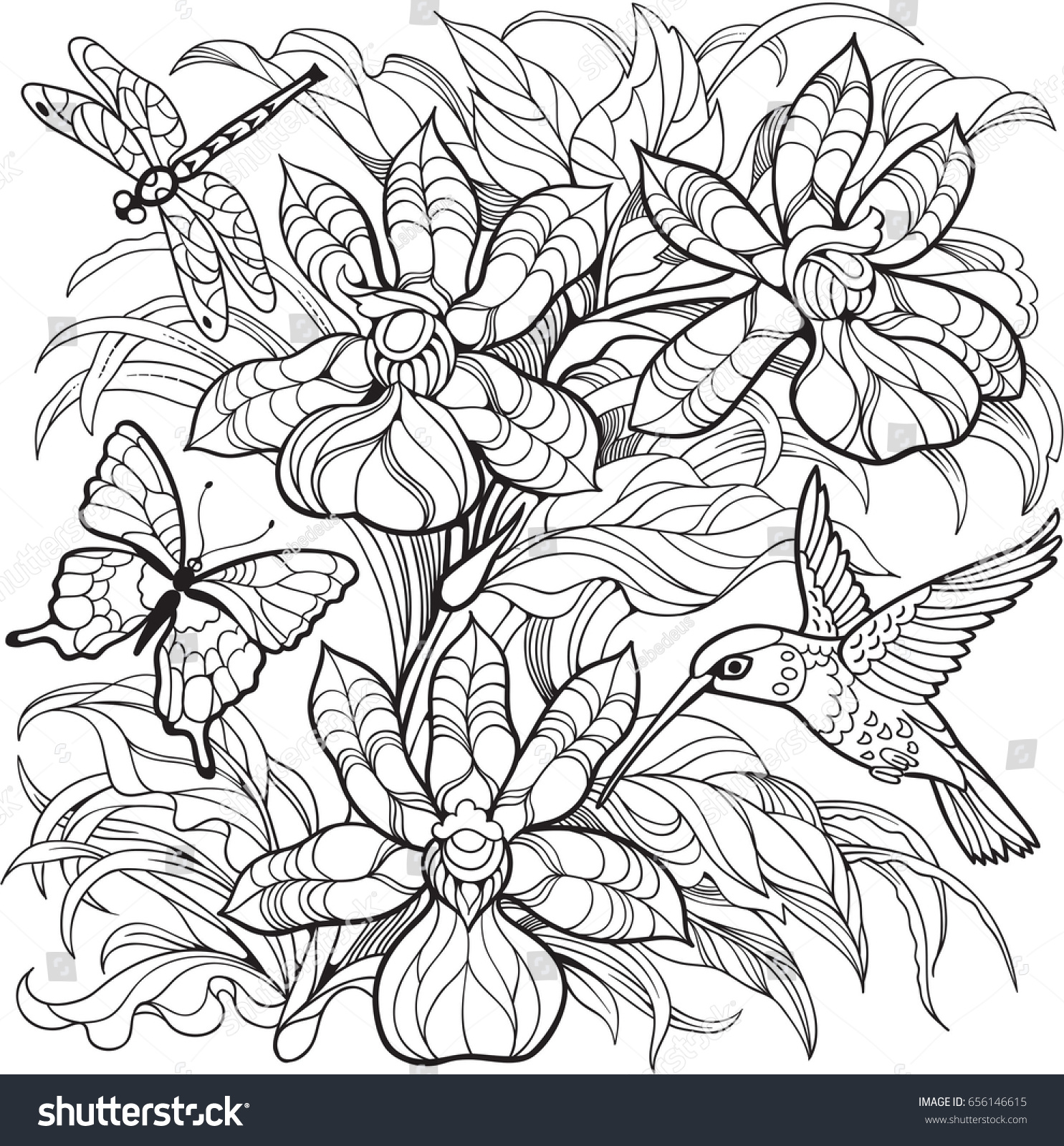 Orchid flowers insects hummingbirdvector coloring page stock vector royalty free
