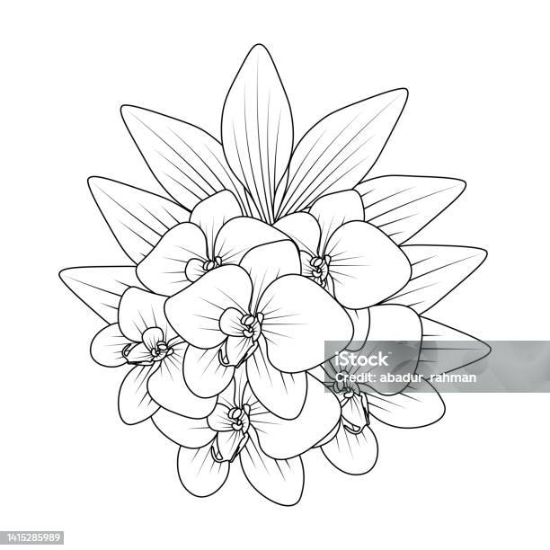 Orchid flower outline line coloring page of easy sketches hand drawing design stock illustration