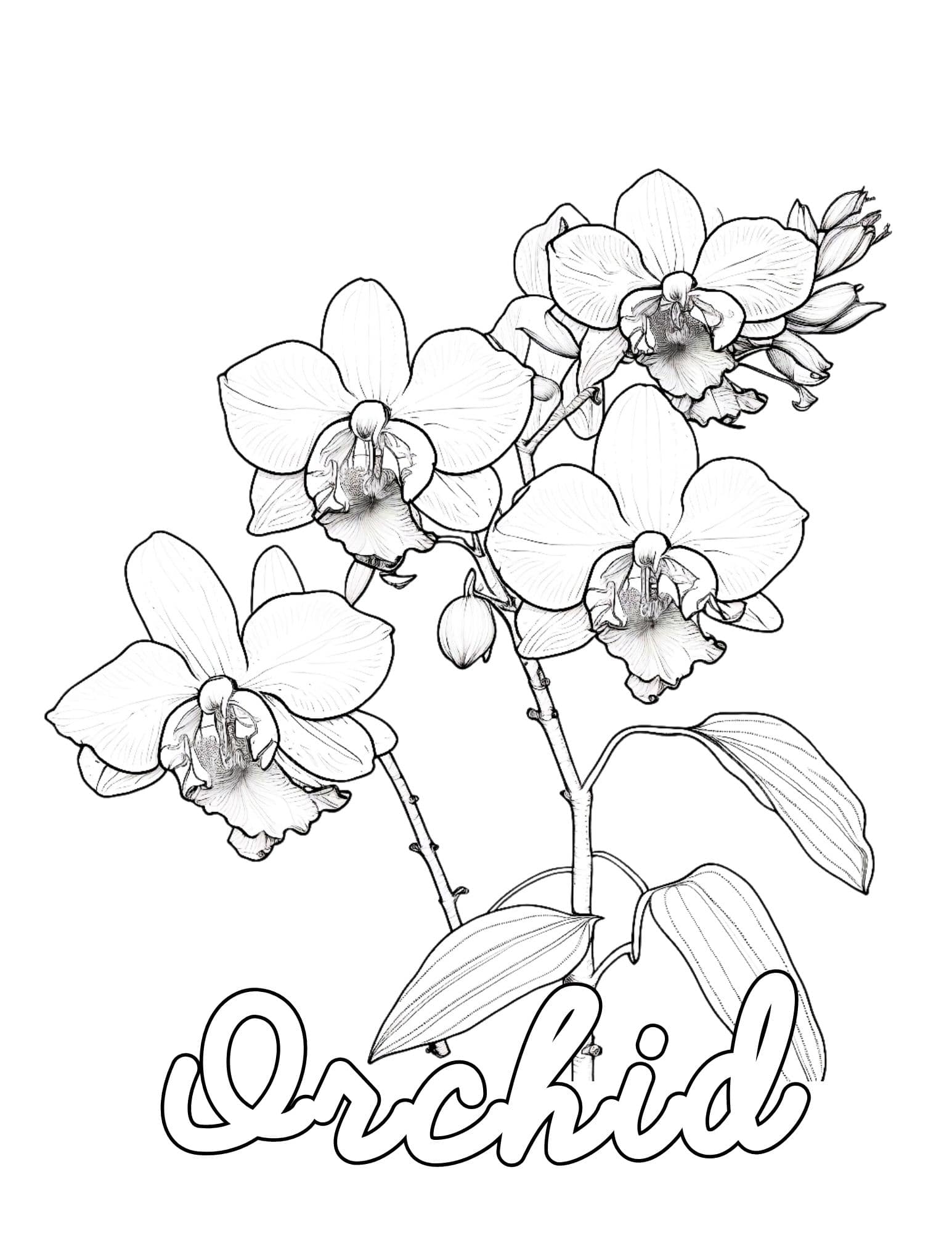 Stunning flower coloring pages for kids and adults