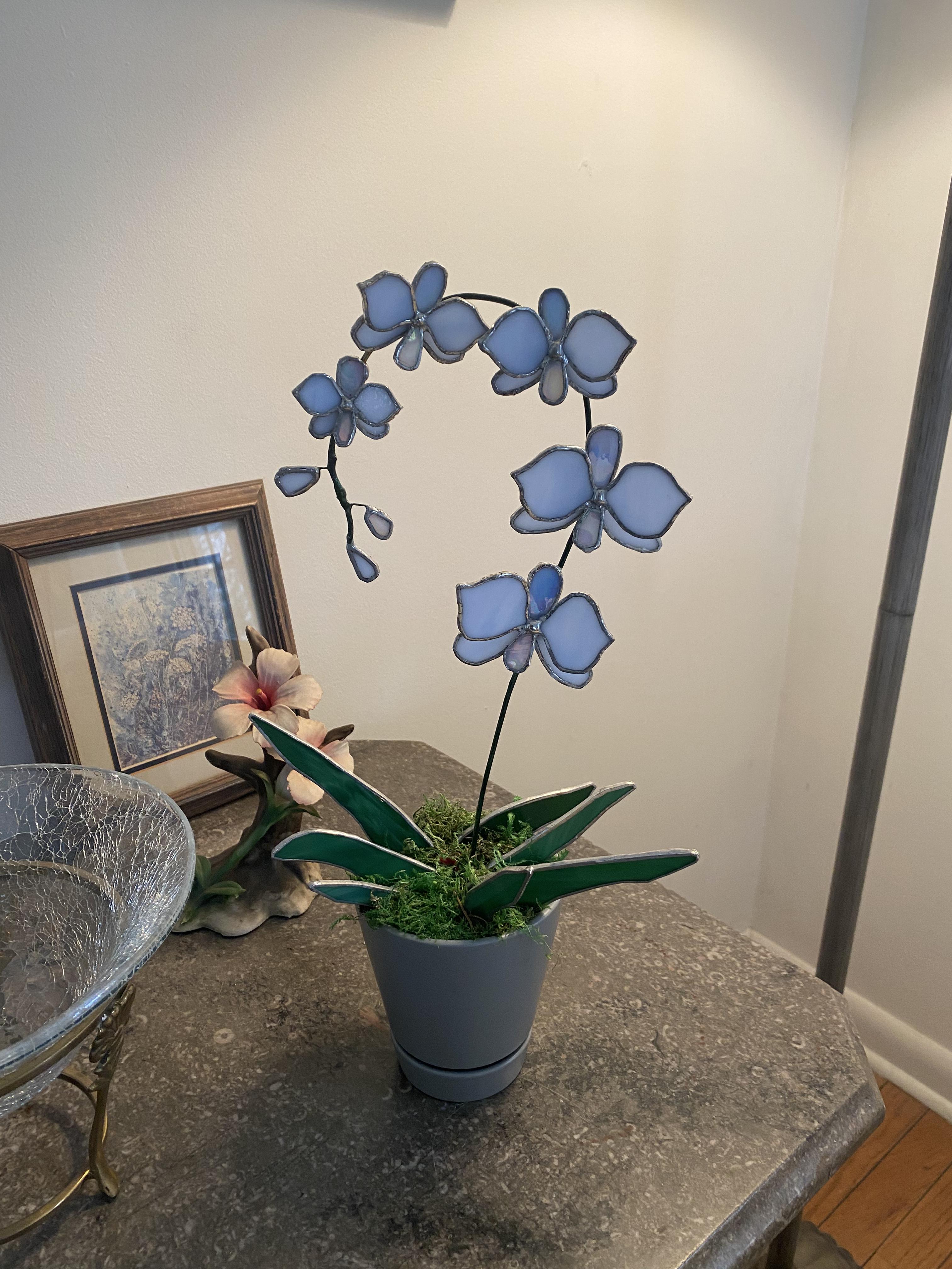 Stained glass orchid for funsies rorchids