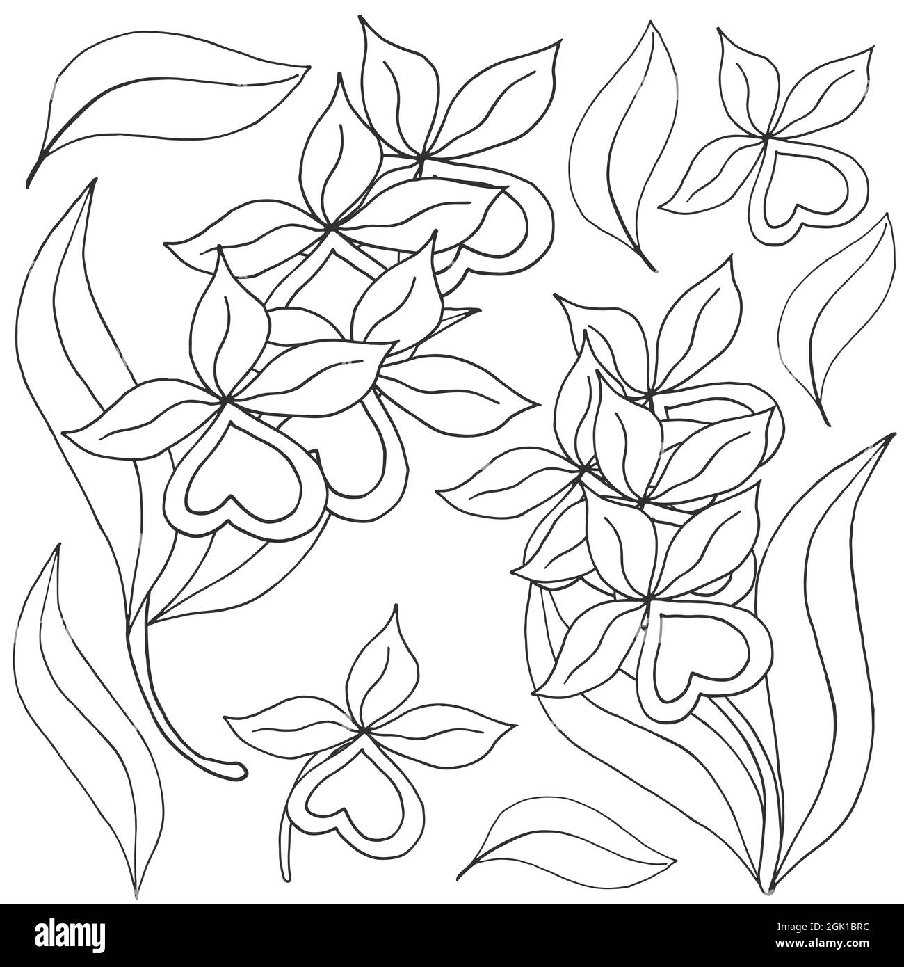 Orchid flower painting black and white stock photos images