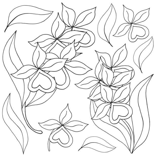 Cattleya orchid cartoon stock illustrations royalty