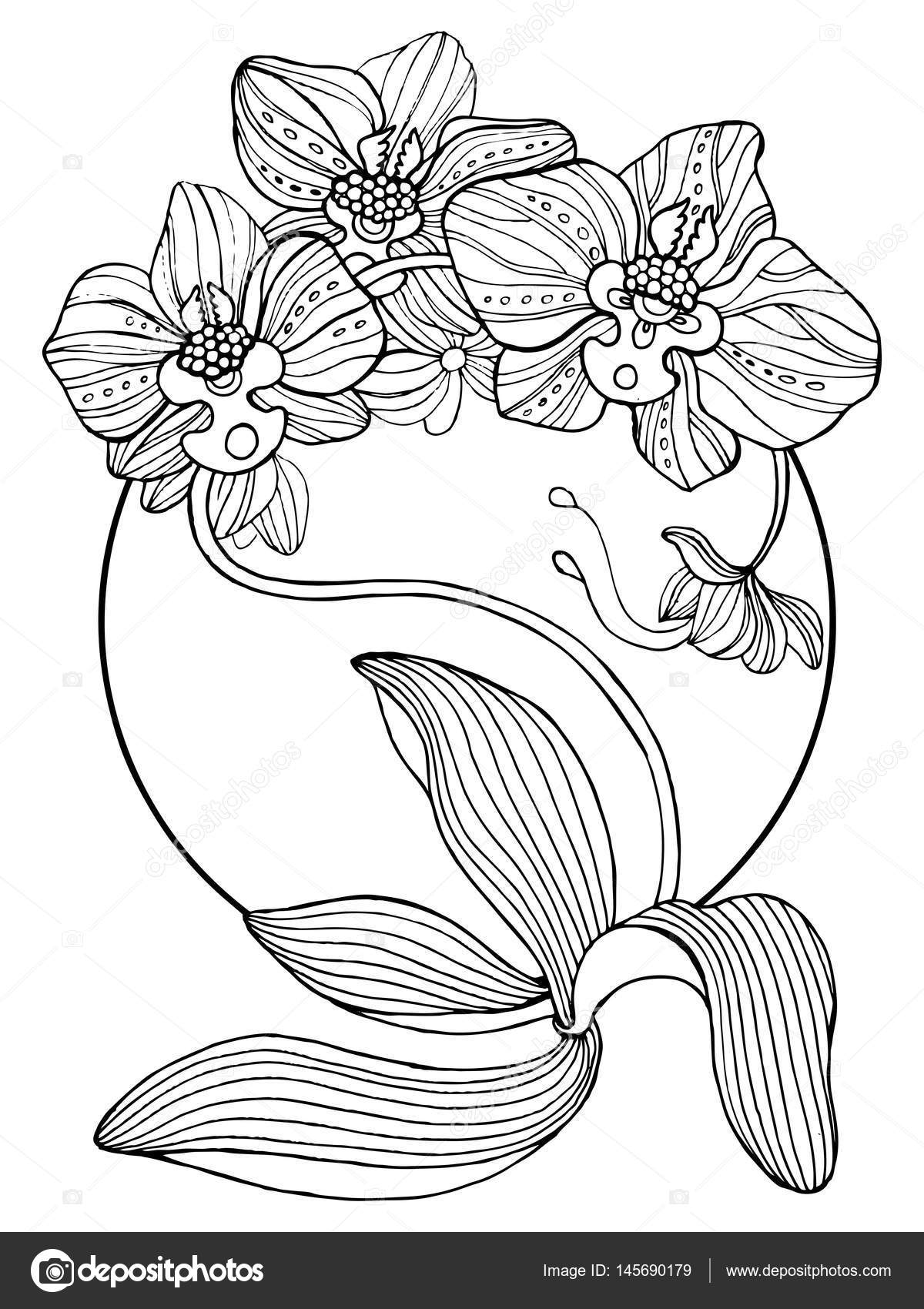 Orchid flowers coloring book vector illustration stock vector by alexanderpokusay