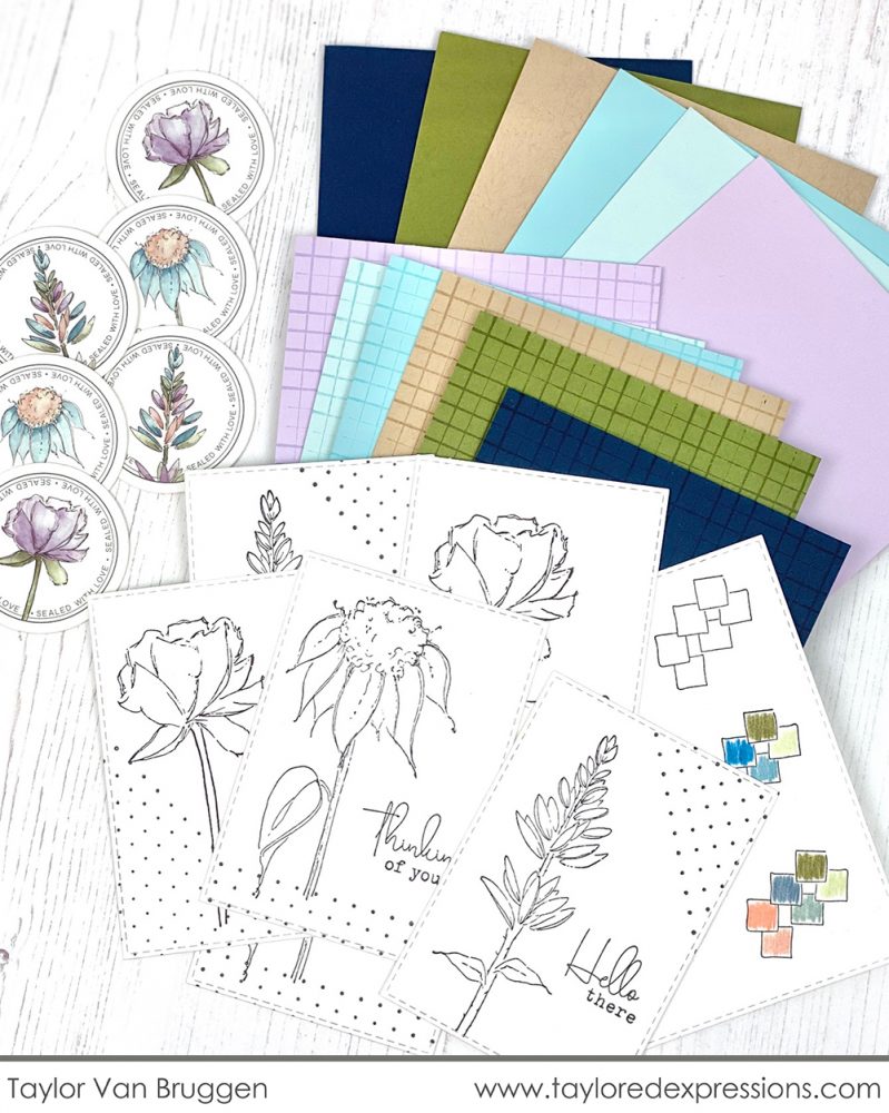 More inspiration with the new field notes kit taylored expressions