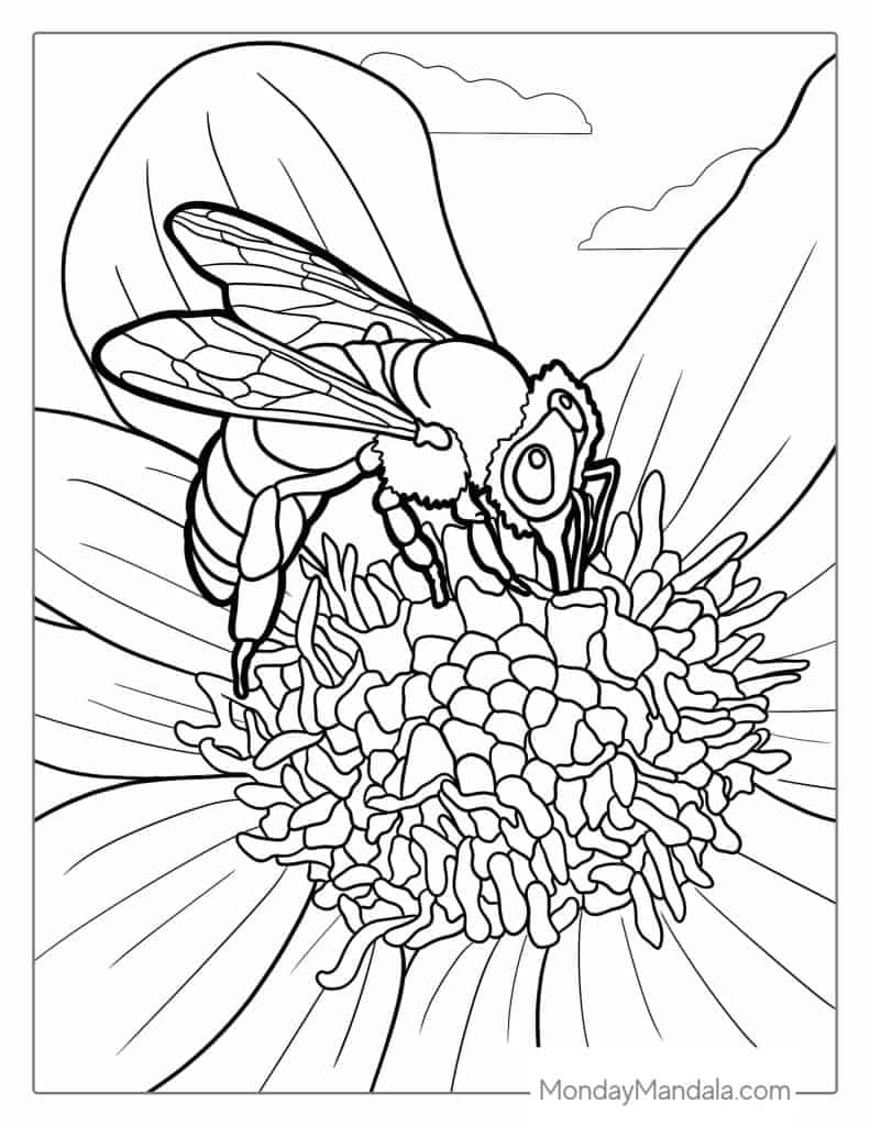 Bee coloring pages free pdf printables