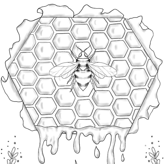 Bee honeyb and flowers coloring page pdf digital download instant download