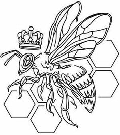Best bee coloring pages ideas bee coloring pages coloring pages bee