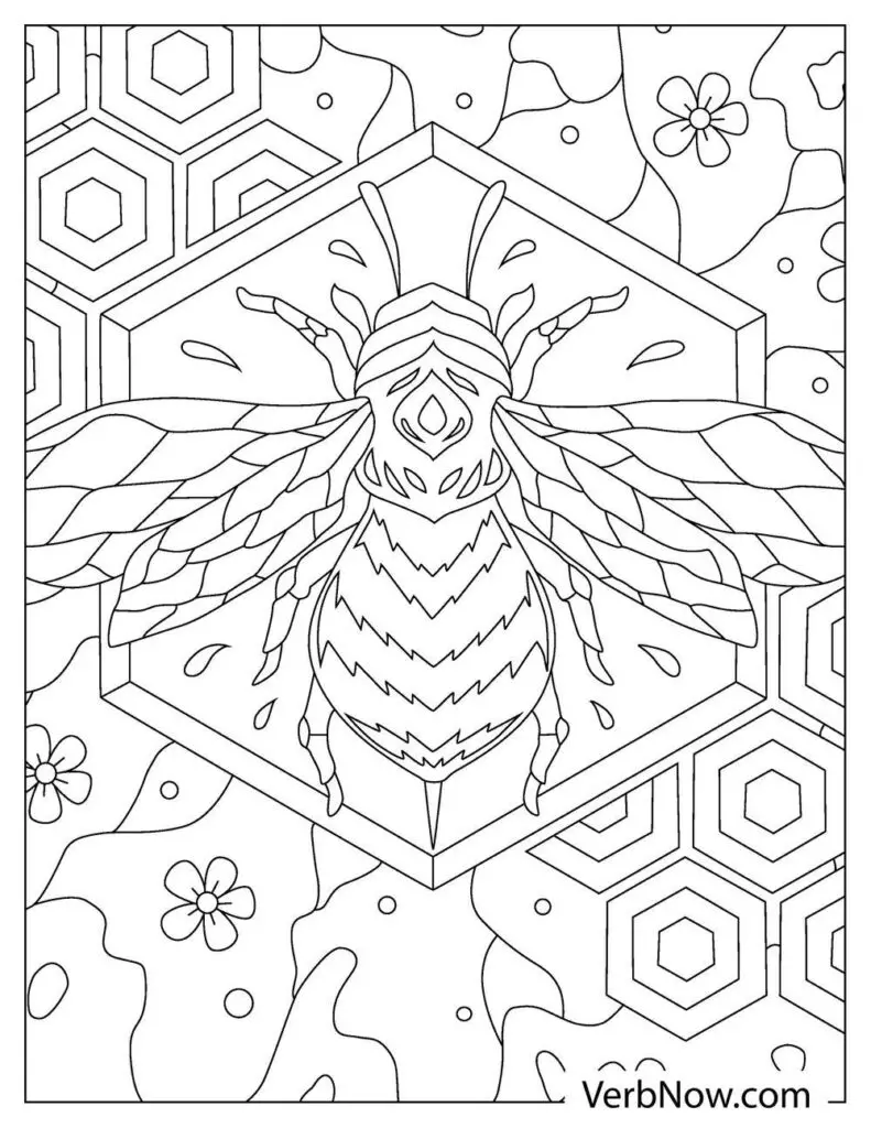 Free bee coloring pages book for download printable pdf