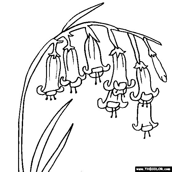 Bluebell flower online coloring page blue bell blue bell flowers flower coloring pages online coloring pages