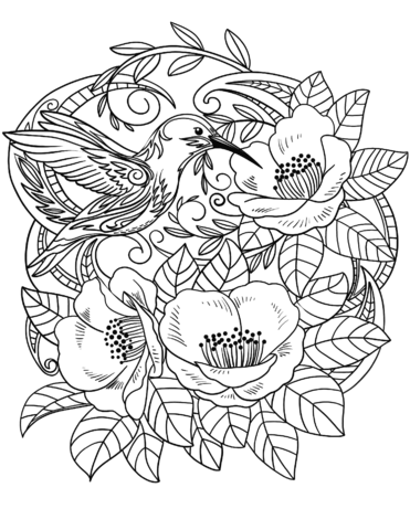 Hummingbird in flowers coloring page free printable coloring pages