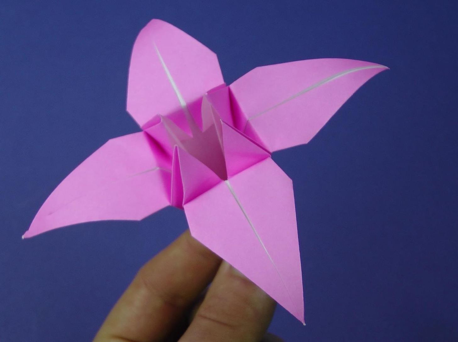 How to make an lily flower