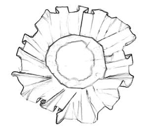 Joost langeveld origami page