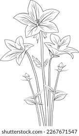 Easy flower coloring pages sketch virginia àààààààààªàààà àààààààààààªààààà