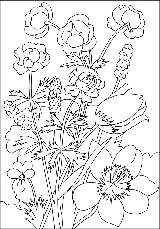 Nicoles free coloring pages flowers coloring page flower coloring pages free coloring pages coloring pages