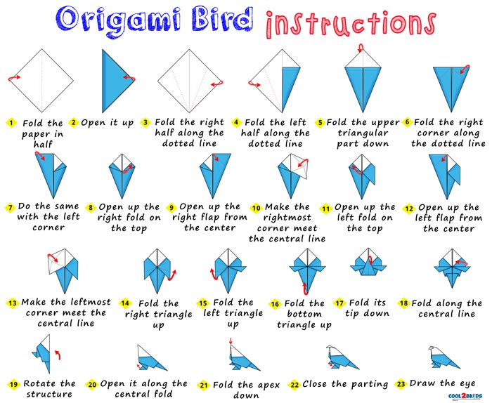 Step by step instructions for making an easy origami bird out of paper