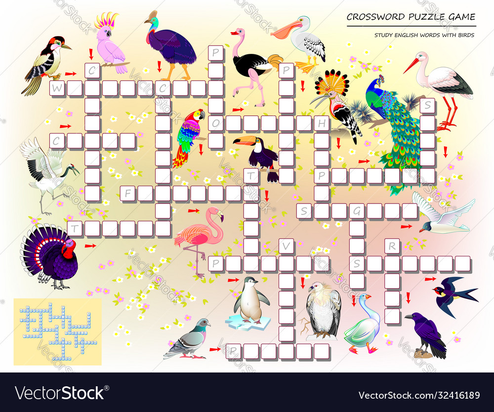 Crossword puzzle game for kids with cute birds vector image