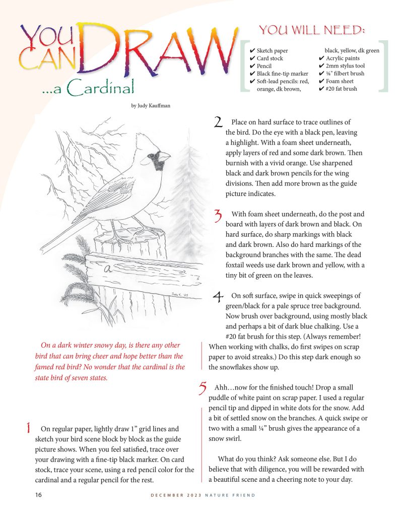 You can draw a cardinal nature friend magazine