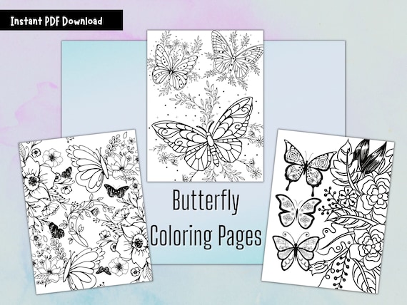 Printable butterfly coloring pages coloring page pdf adult color pages printable coloring pages adult beautiful coloring pages instant download
