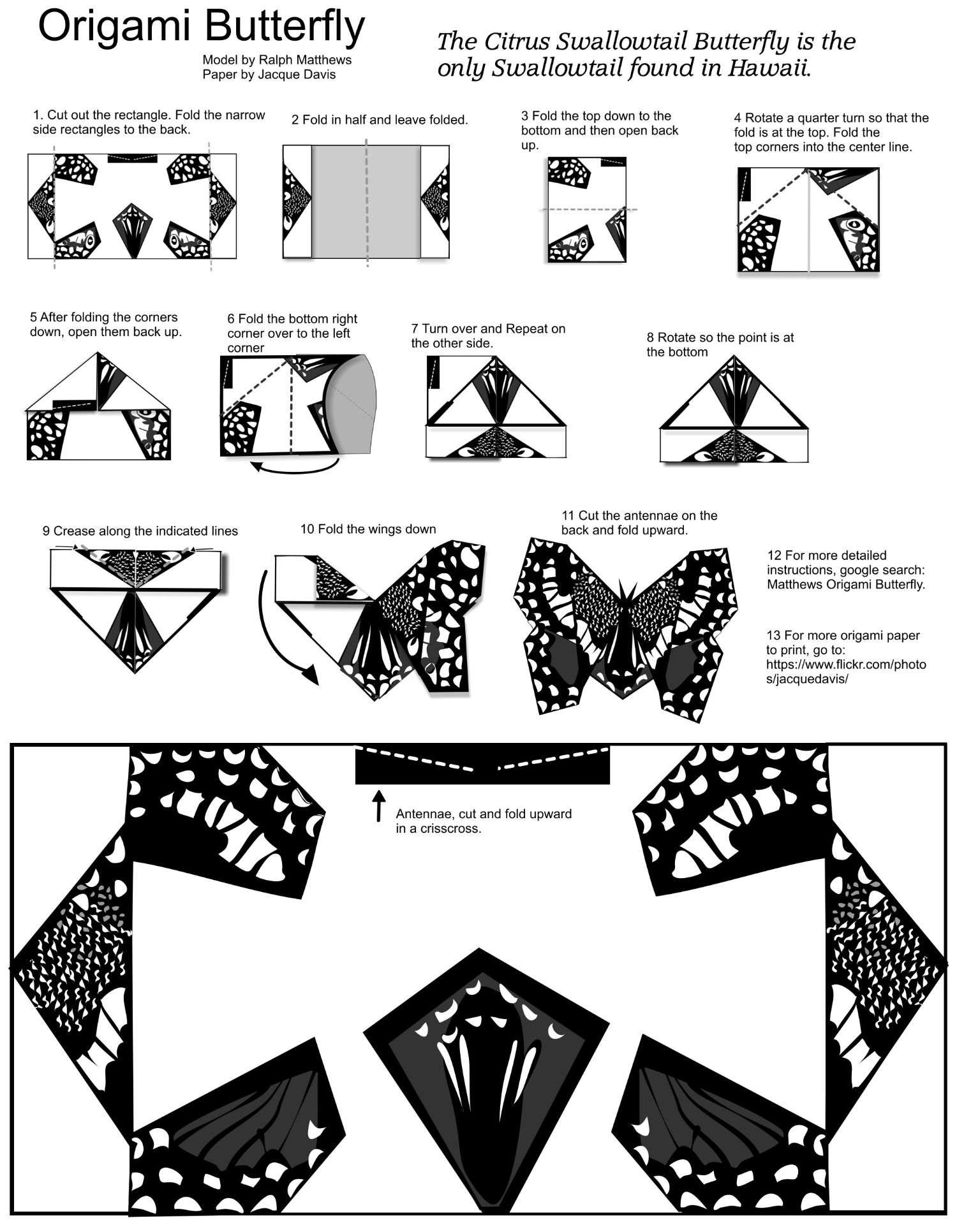 Origami butterfly template with diy instruction free printable papercraft templates