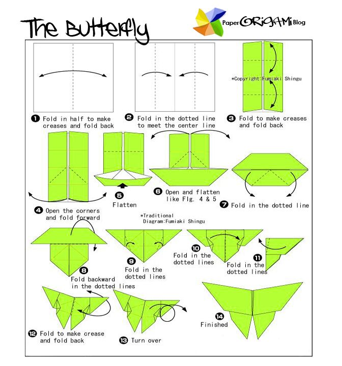 Bug origami butterfly