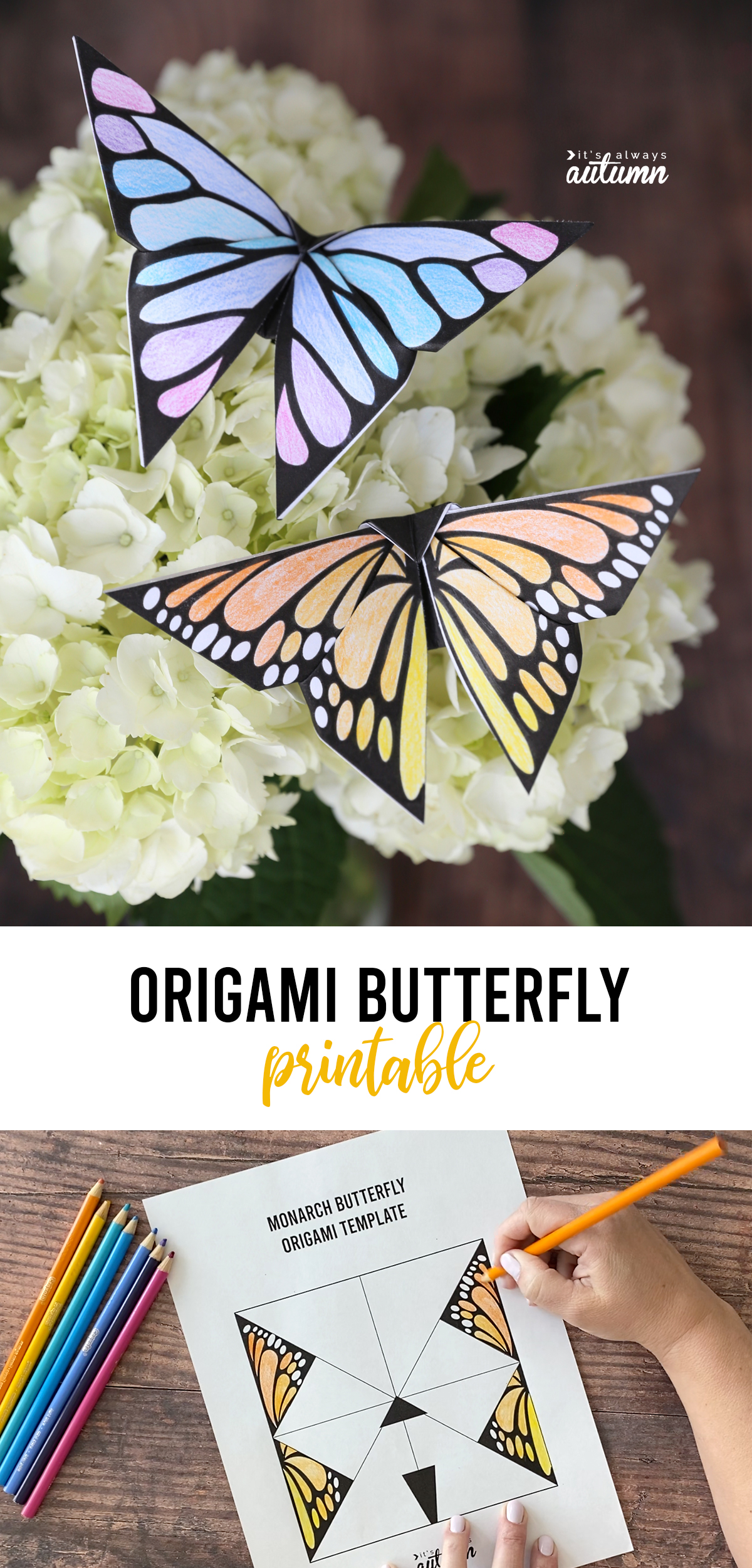 Origami butterfly printable templates