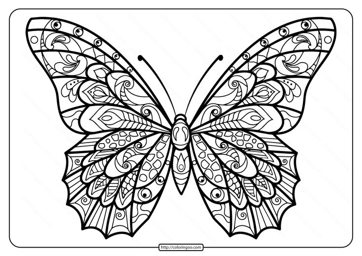 Printable butterfly mandala pdf coloring pages butterfly coloring page butterfly mandala mandala coloring pages