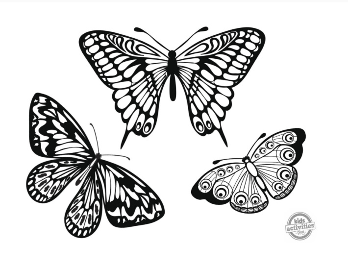 Beautiful butterfly coloring pages to download print kids activities blog