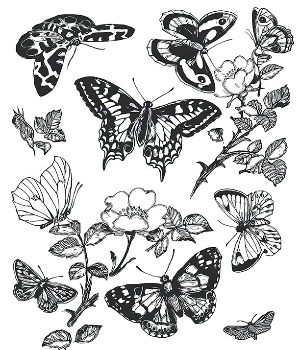 Butterfly coloring pages for adults