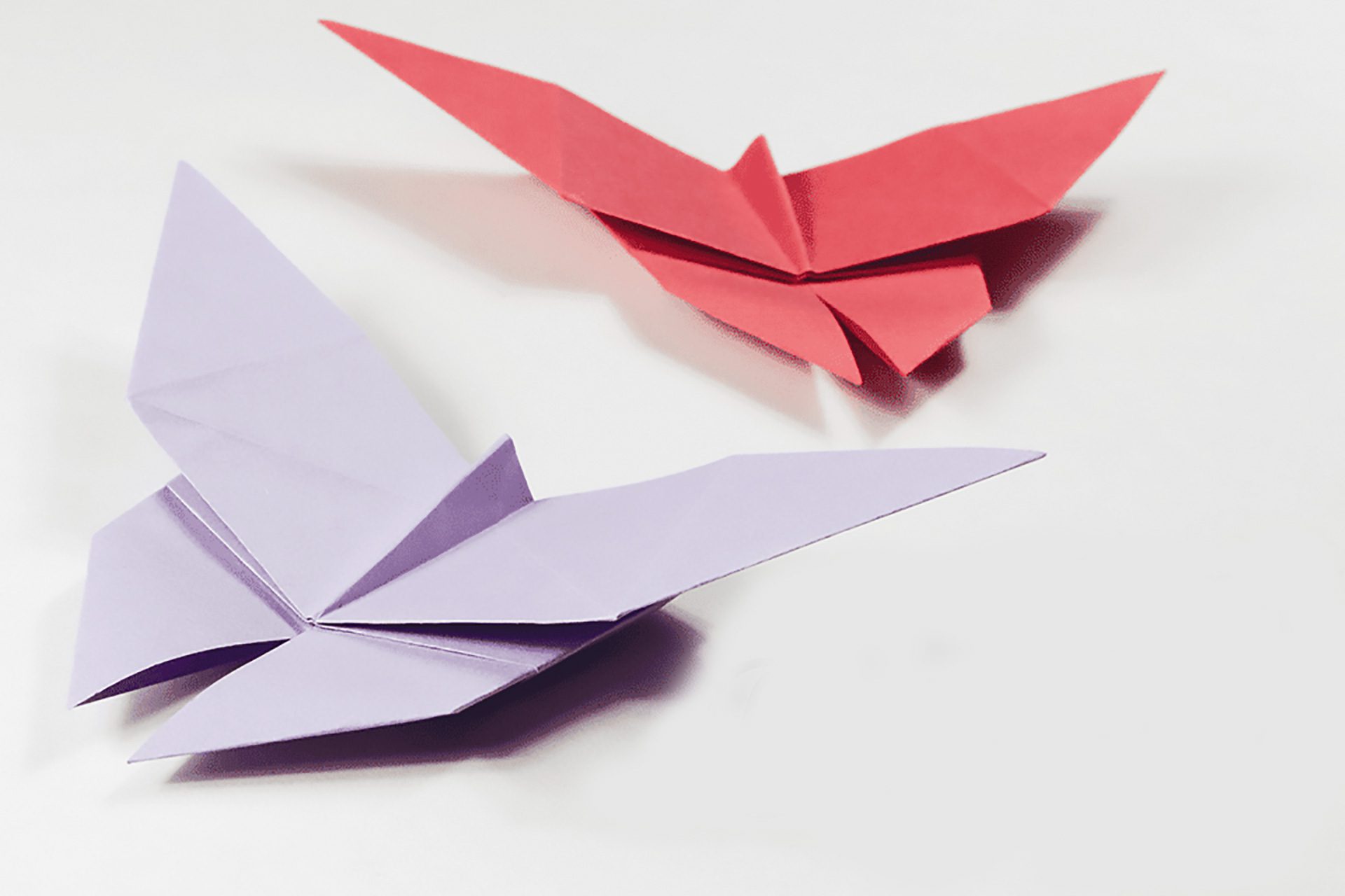 Origami butterfly step by step instructions