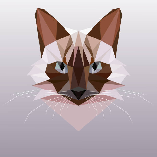 Origami cat face stock illustrations royalty