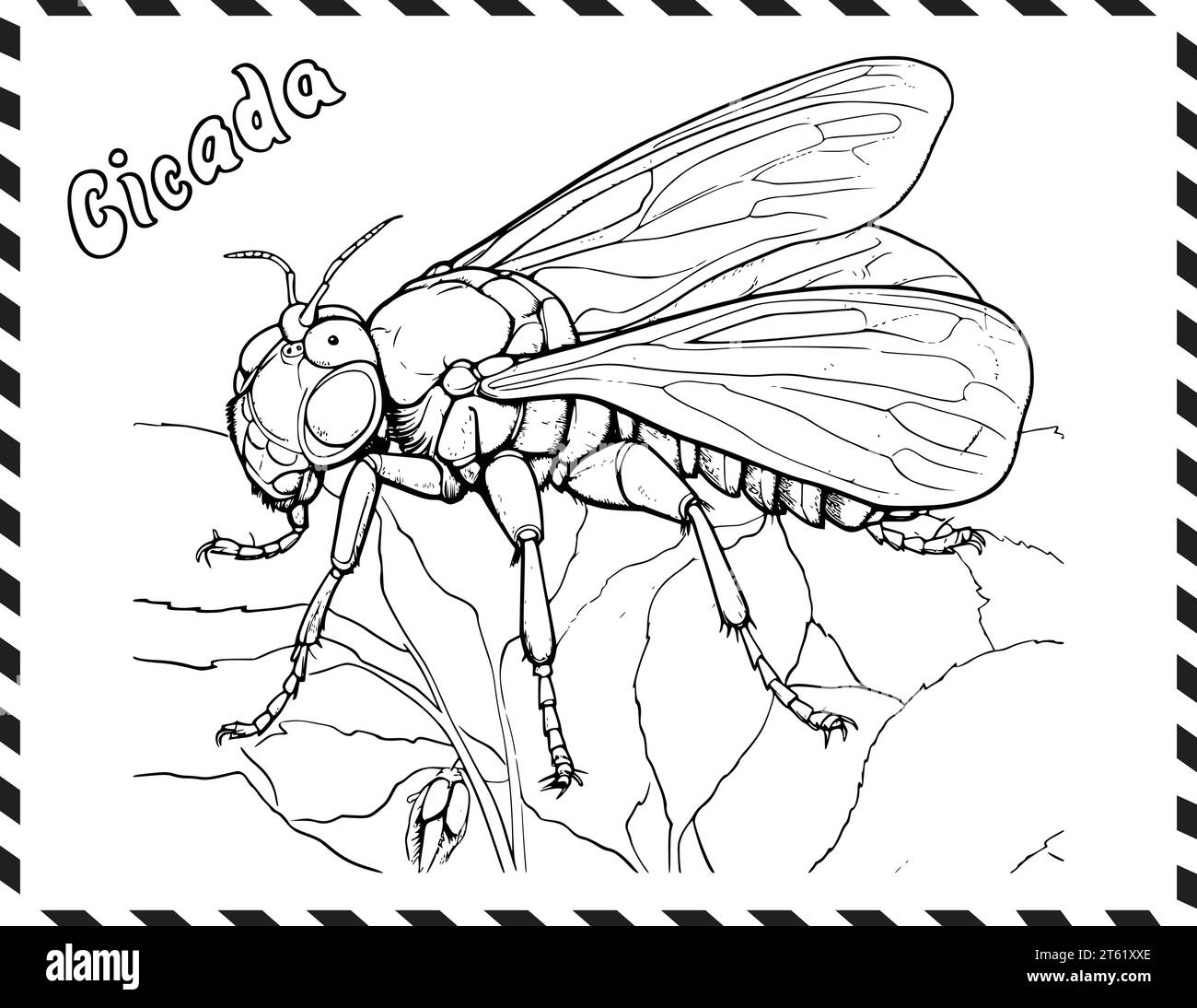 Cicada vector vectors hi