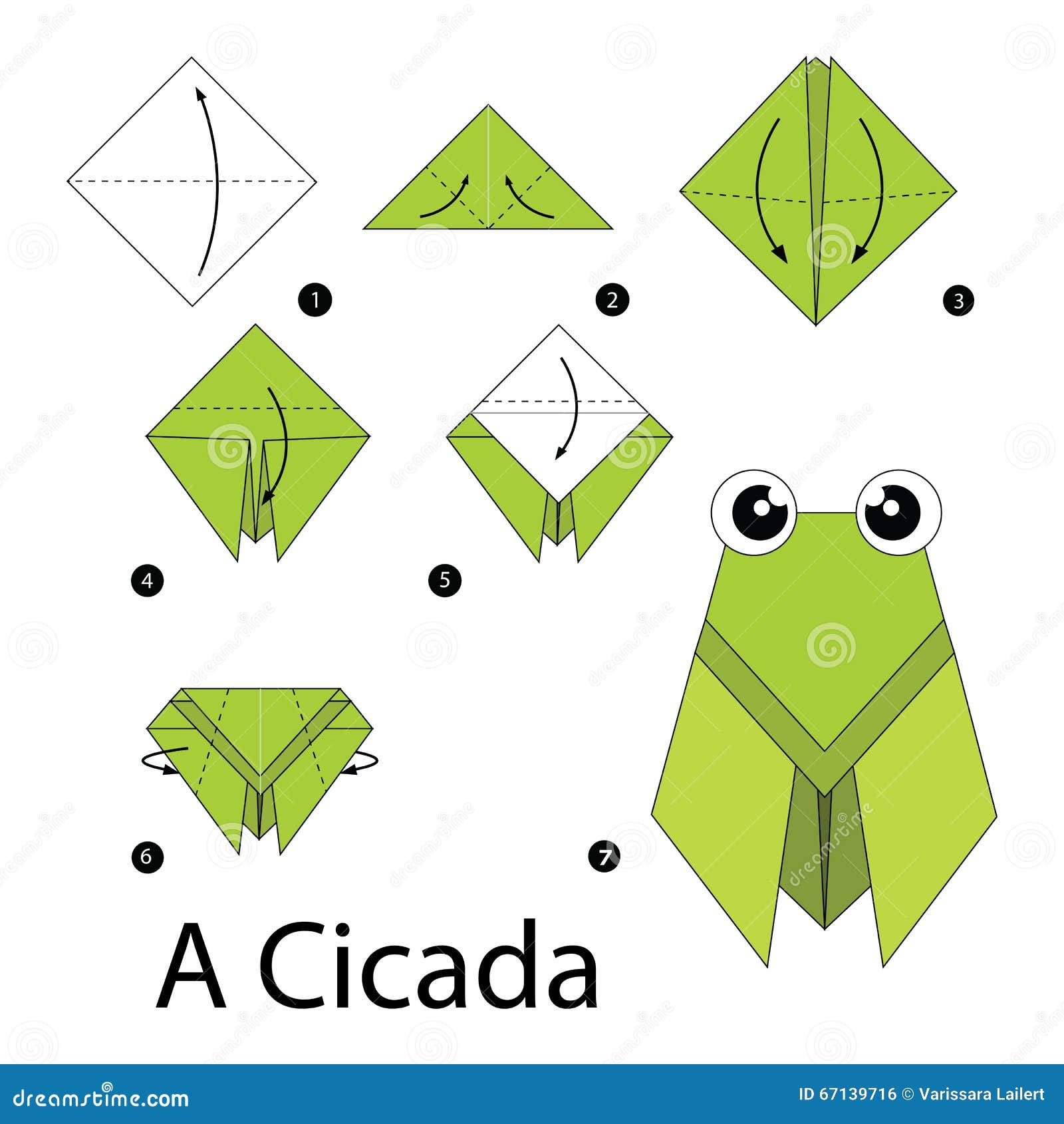 Step by step instructions how to make origami a cicada stock vector