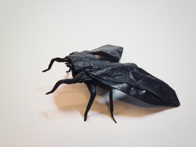 Shizuoka cicada designed by robert j lang and folded by me rorigami