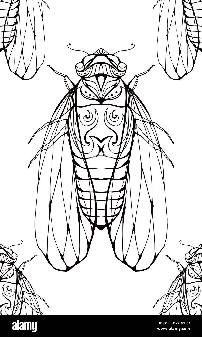 Cicada illustration cut out stock images pictures