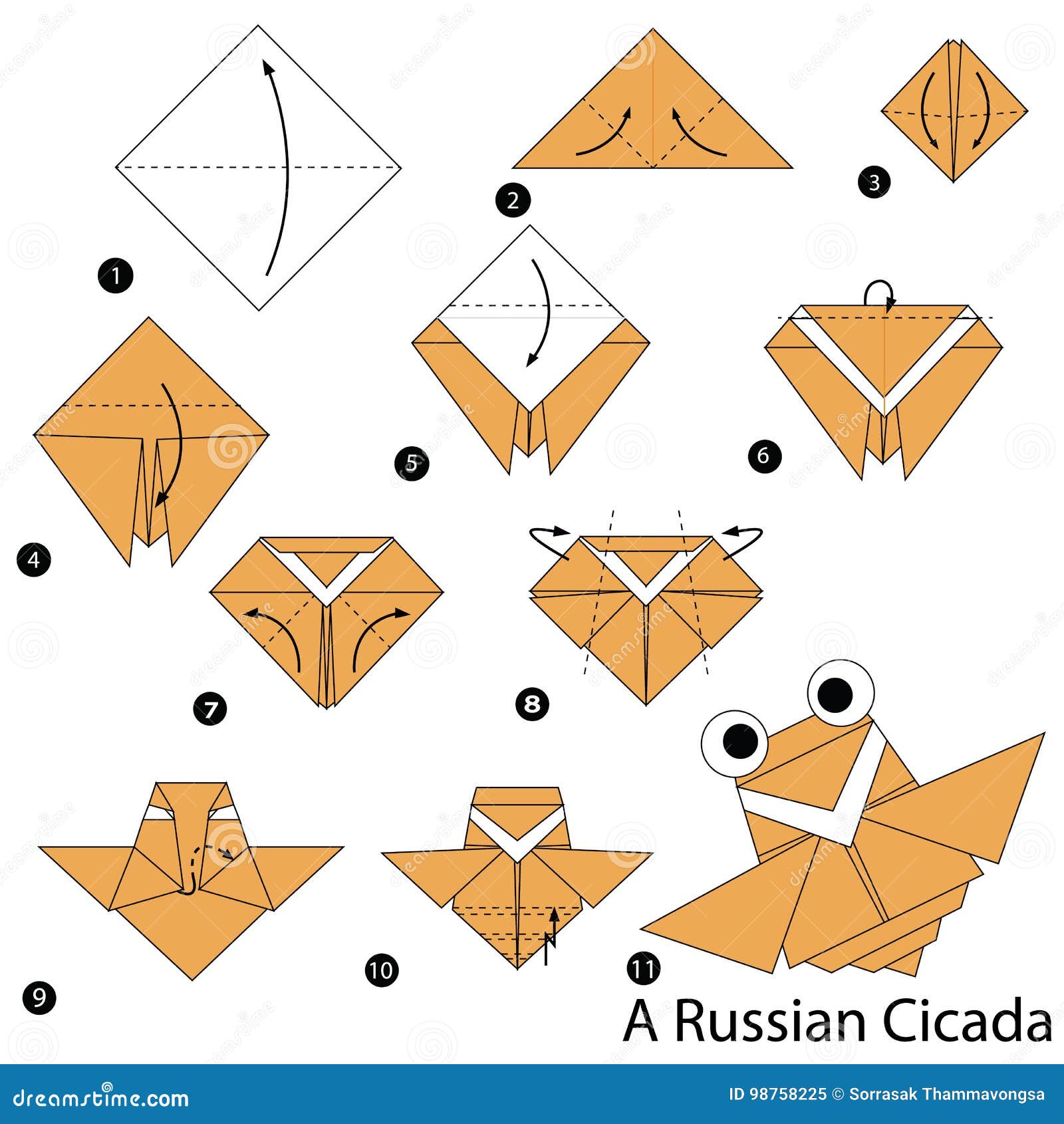 Step by step instructions how to make origami a russian cicada stock vector