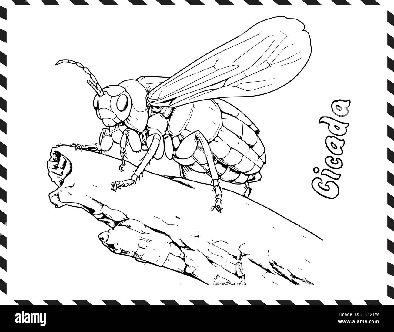 Cicada vector vectors hi