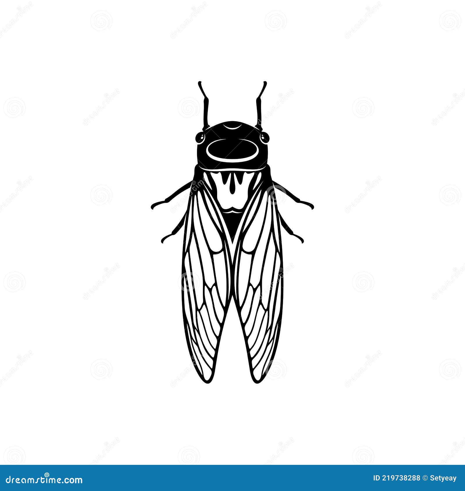 Cicada design stock illustrations â cicada design stock illustrations vectors clipart
