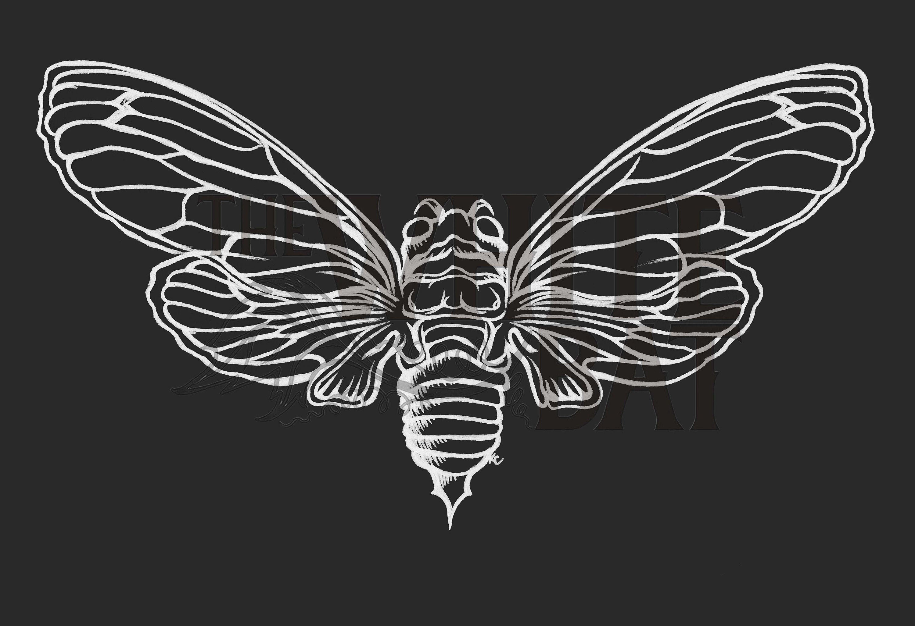 Moonlight pharaoh cicada digital art downloadable image file ppi